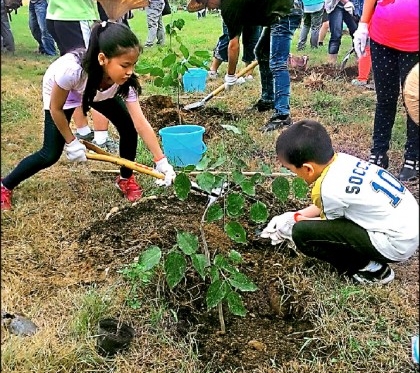 建興里掩埋場植樹造林