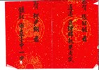 108年度紅榜-96人_page-0011